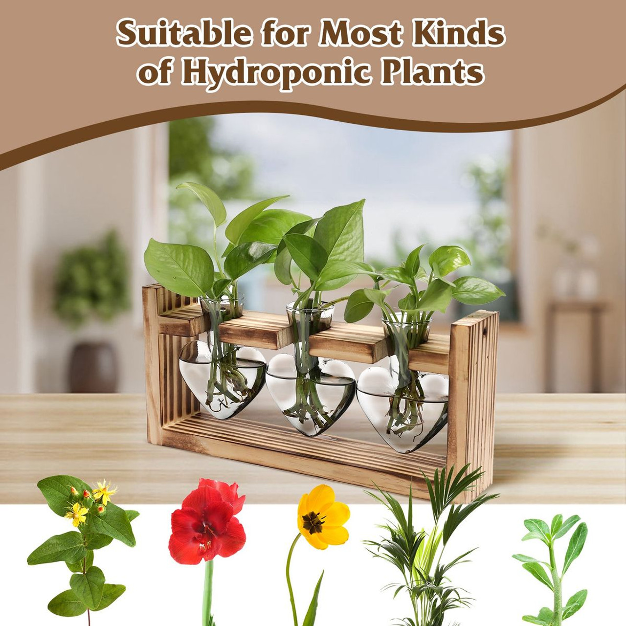 Desktop Plant Propagation Station product image