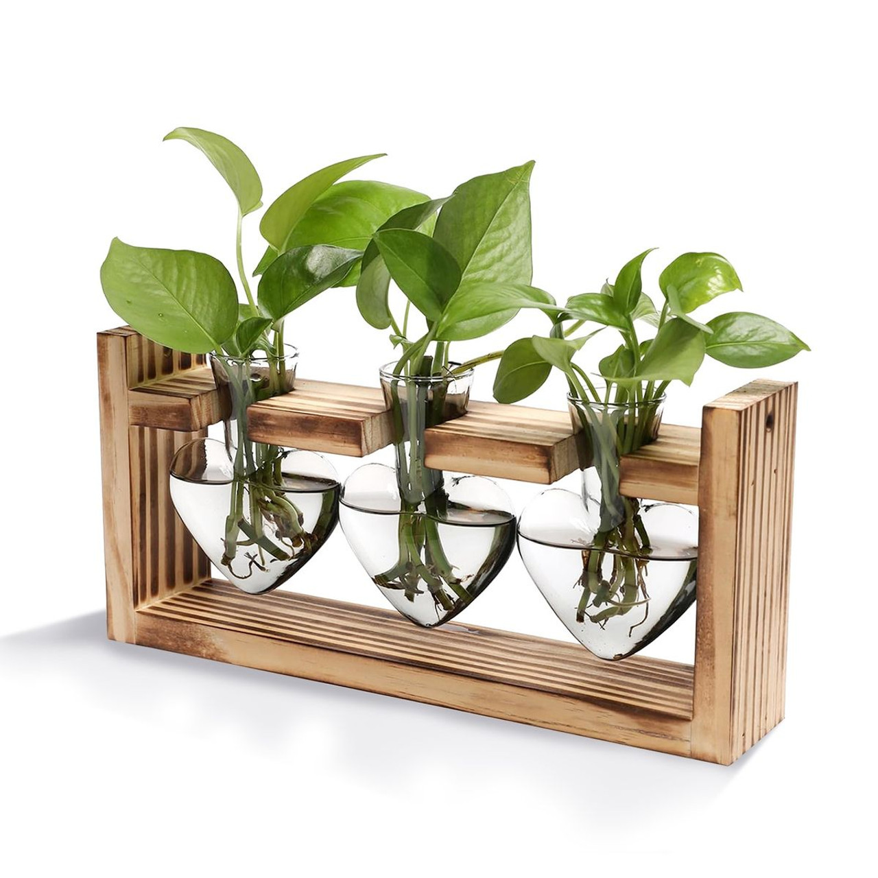 Desktop Plant Propagation Station product image