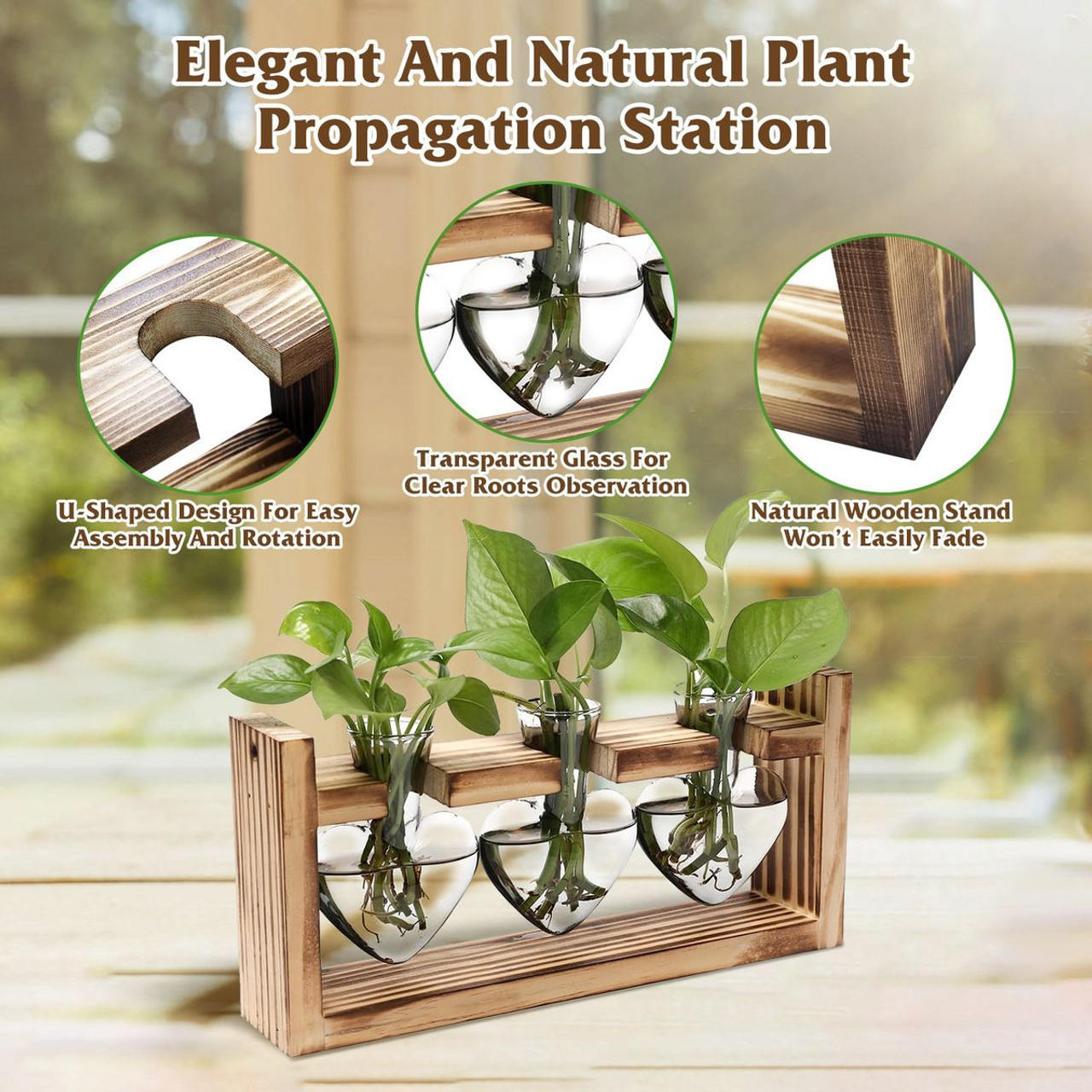 Desktop Plant Propagation Station product image