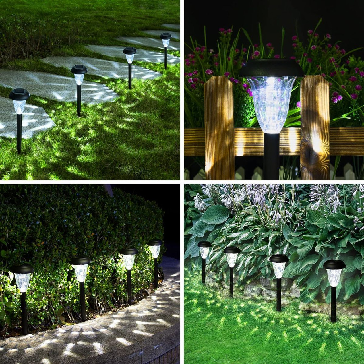 Solar Pathway Light (12-Pack) product image