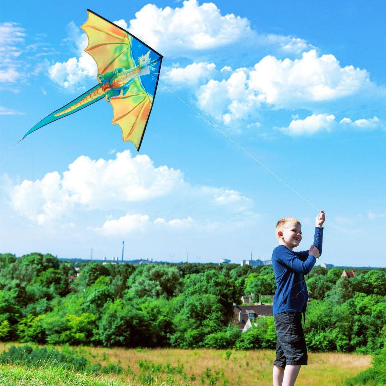 Dragon Kite for Kids  product image