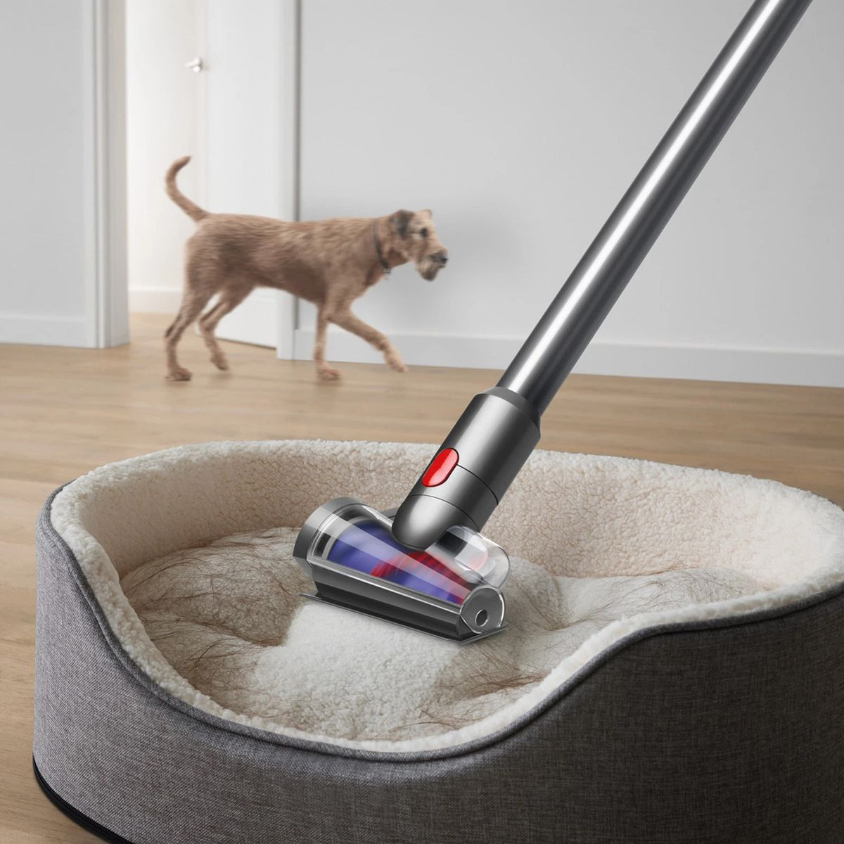 Dyson V12 Detect Slim Absolute Cordless Handheld Vacuum Cleaner product image