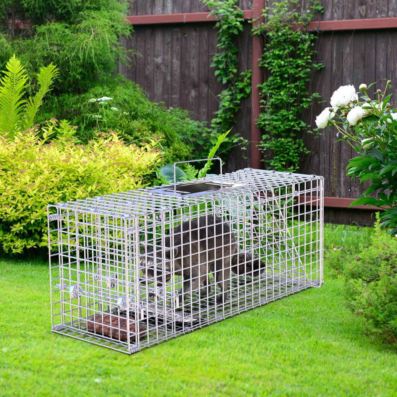 25.59" Humane Animal Trap Cage product image
