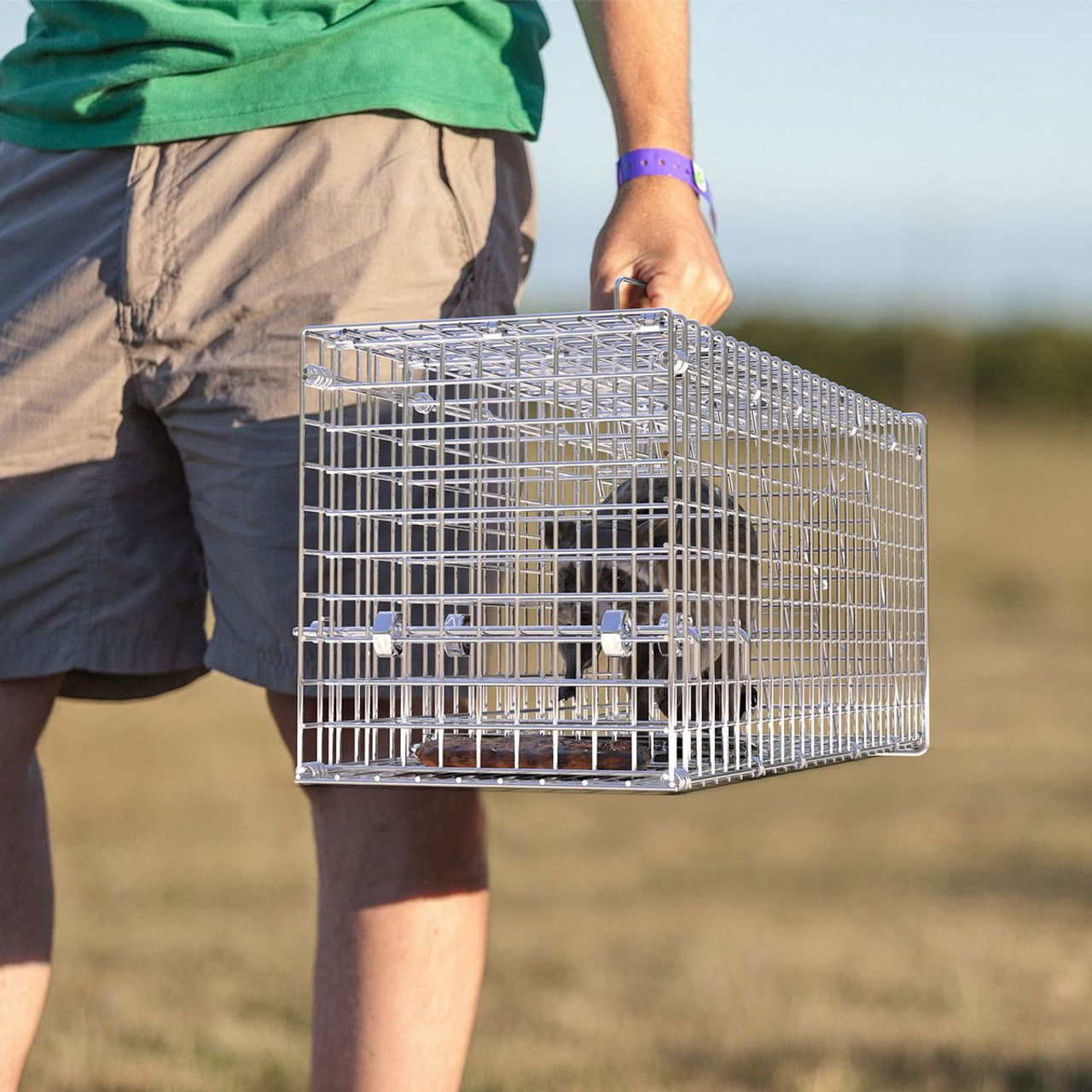 25.59" Humane Animal Trap Cage product image