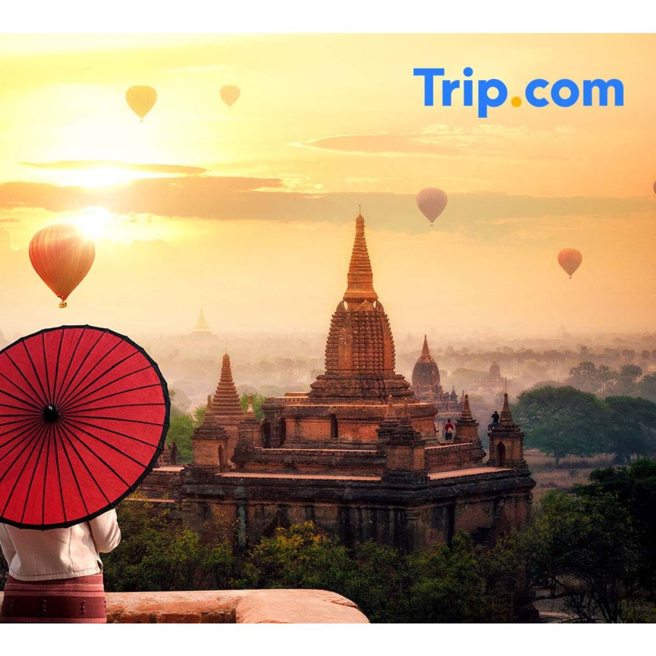 Online Vacation Planning product image