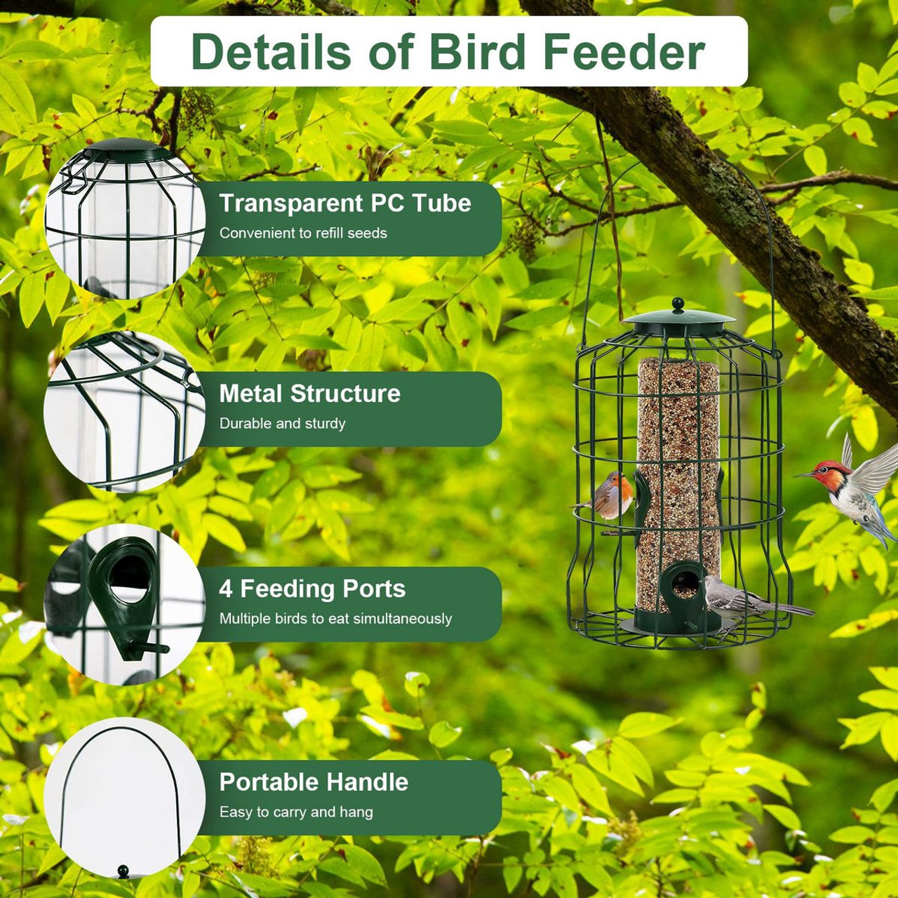 Squirrel-Proof Bird Feeder product image
