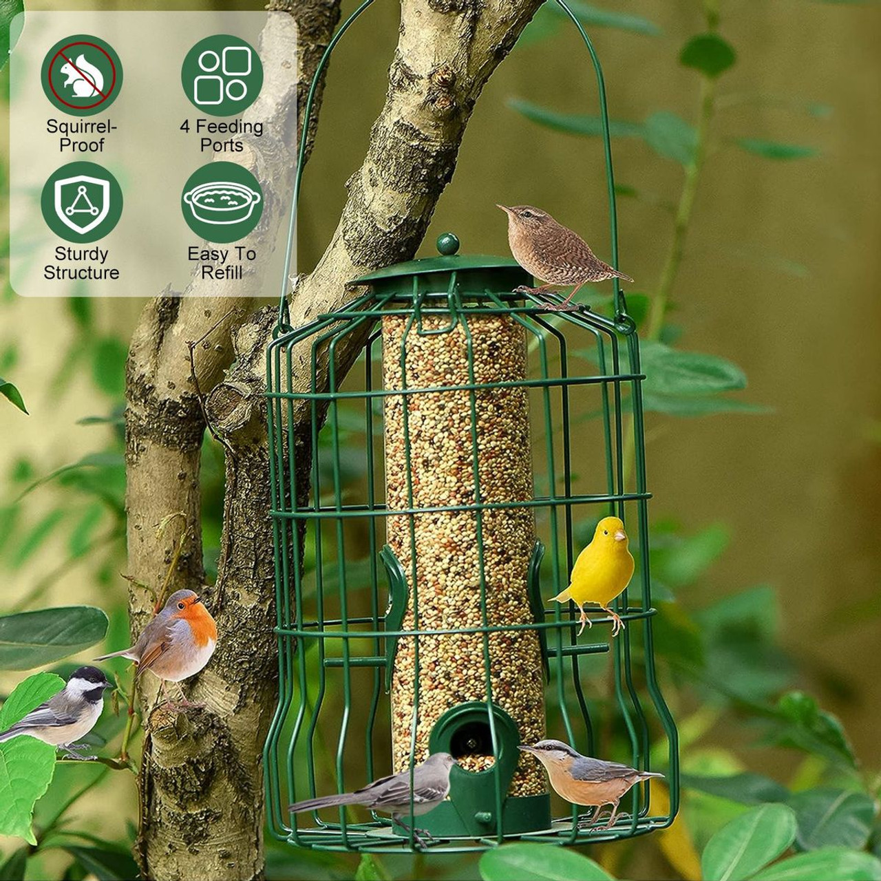 Squirrel-Proof Bird Feeder product image