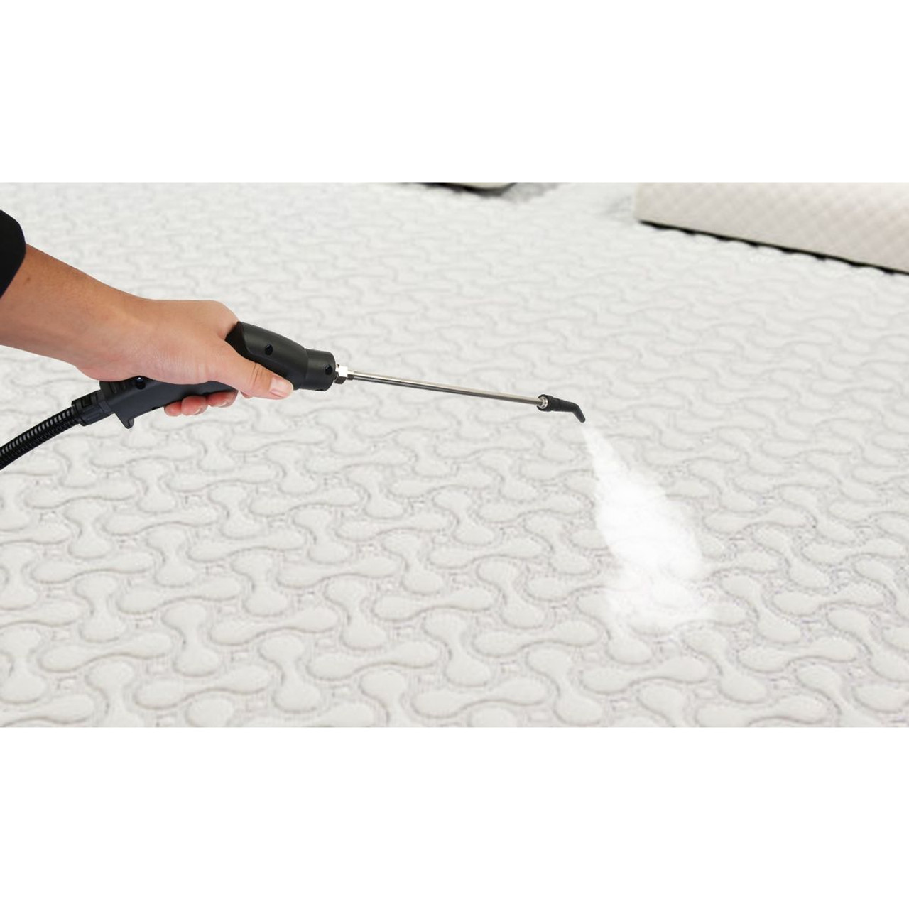 Handheld Steamer Cleaner product image