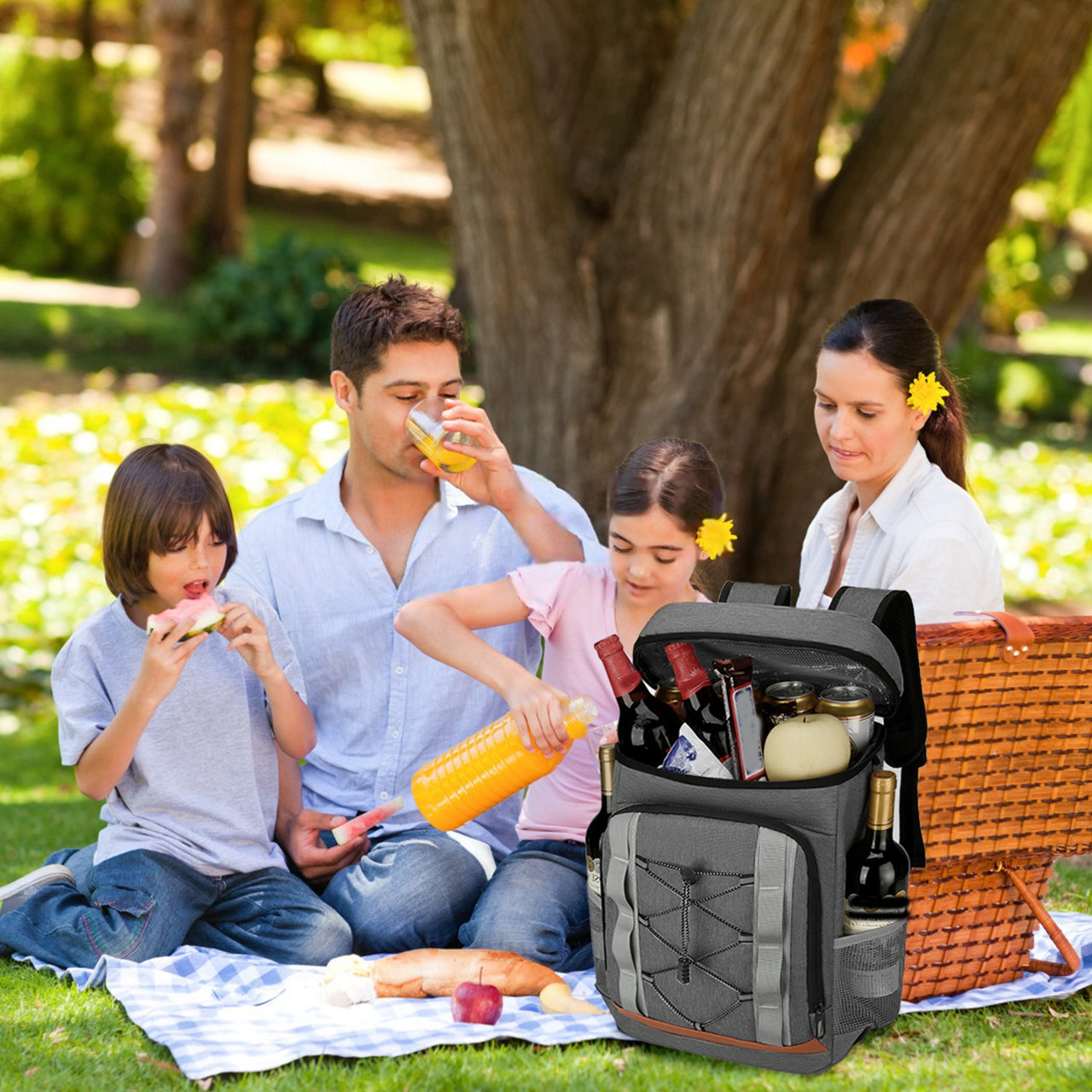 NPolar Cooler Backpack product image