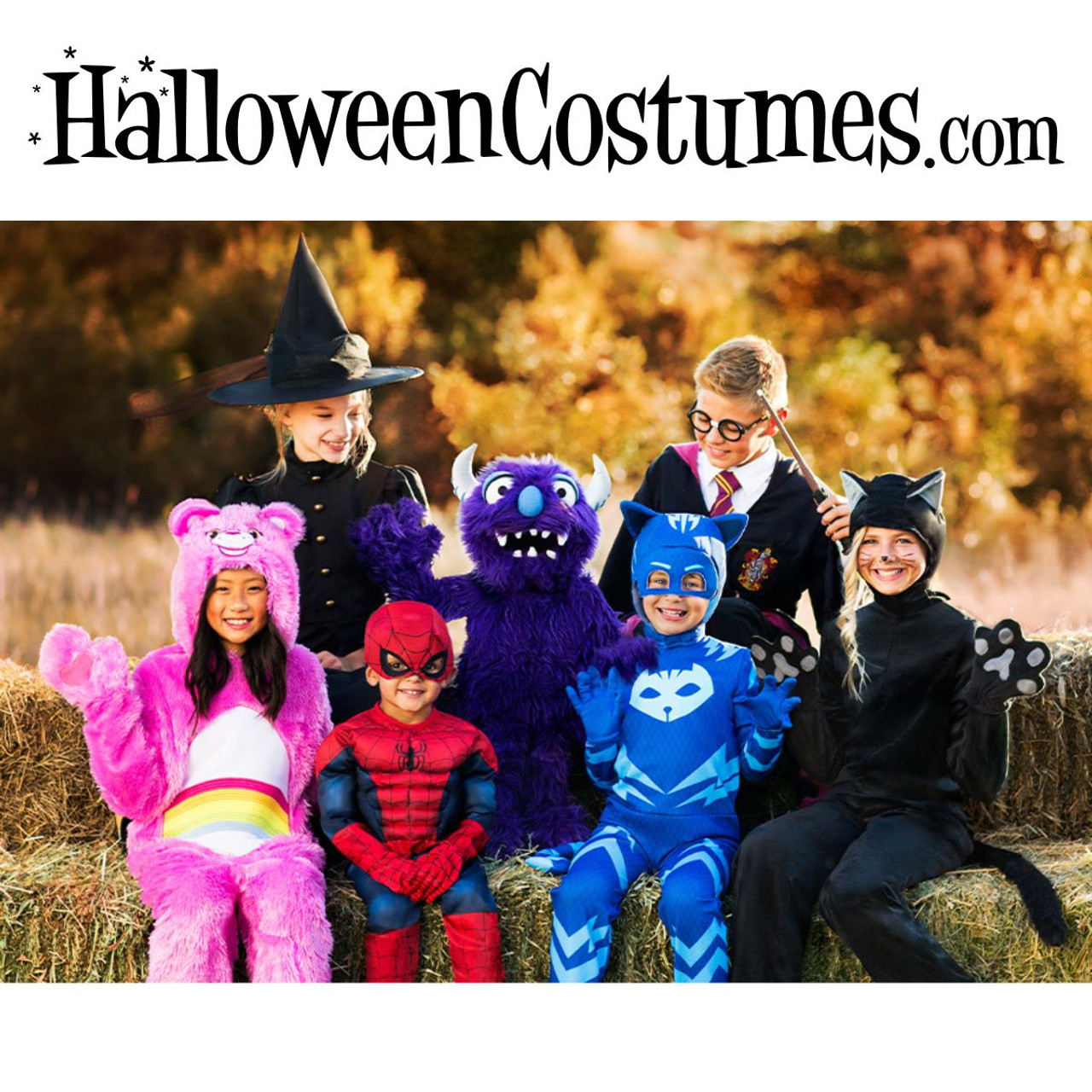 Halloween Costumes Online  product image