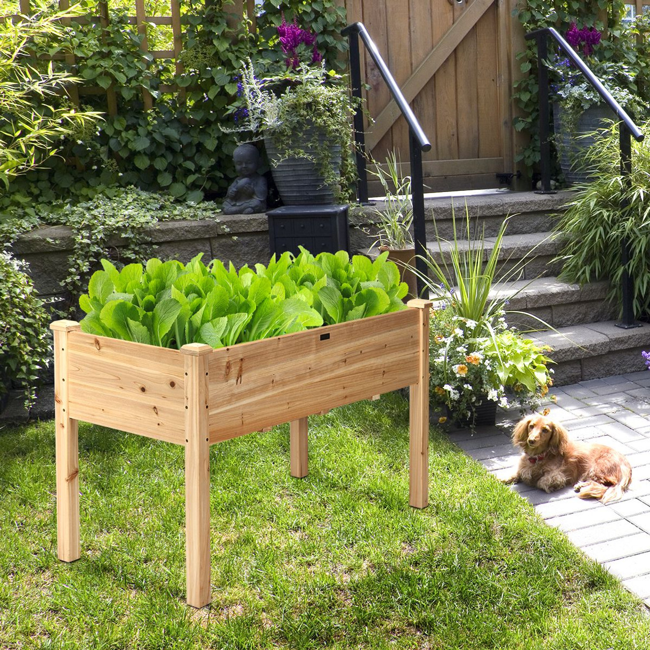 Wooden Raised Vegetable Garden Bed product image