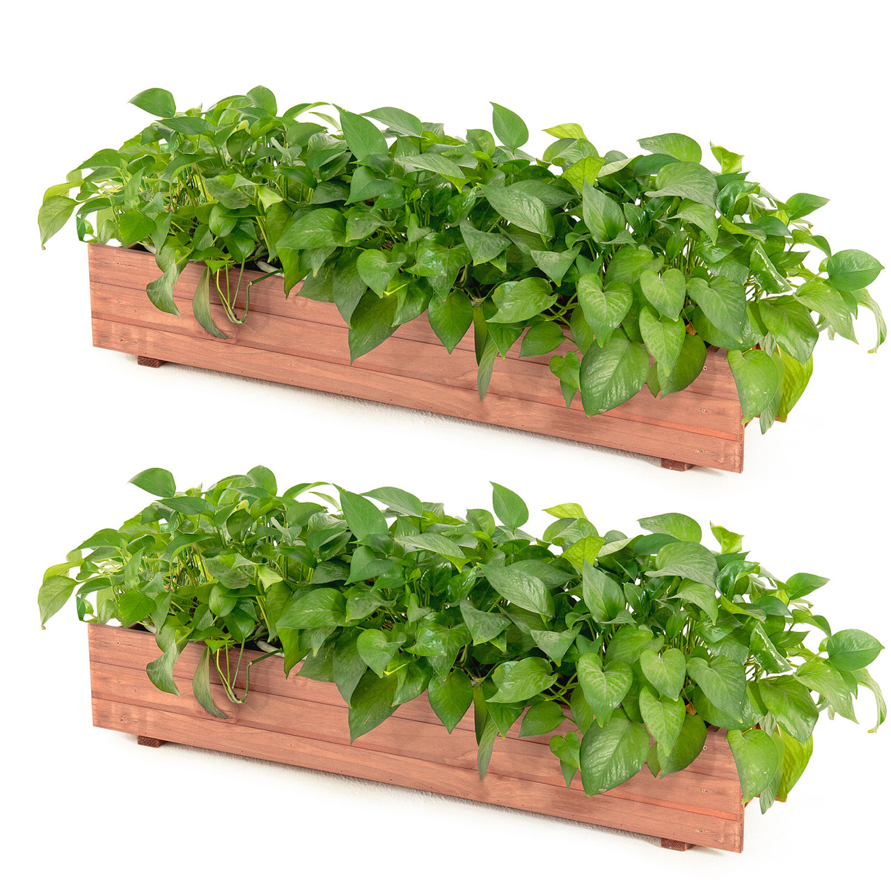 Wooden Flower Planter Window Box (1- or 2-Pack) product image