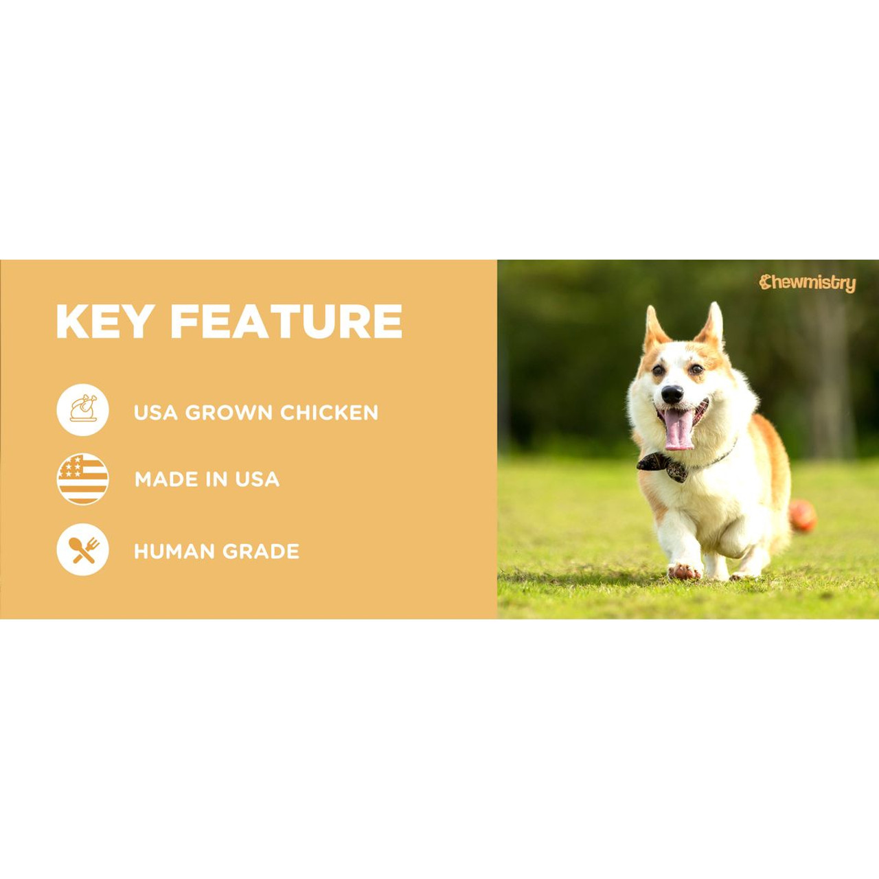 Chewmistry 16oz Chicken Jerky Dog Treats product image