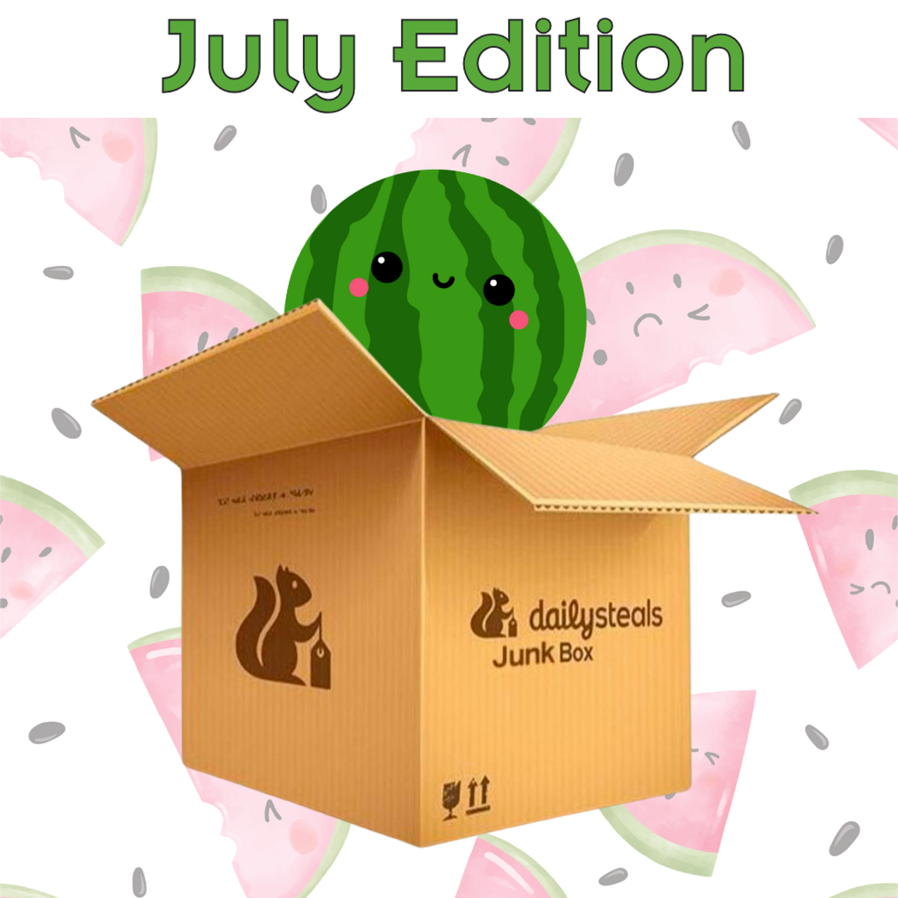DailySteals Junk Box - July Edition product image