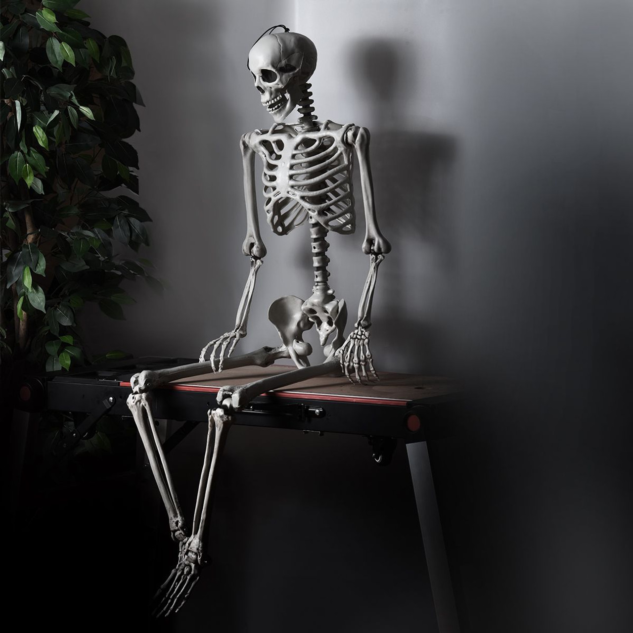 5.4 ft Posable Halloween Skeleton  product image