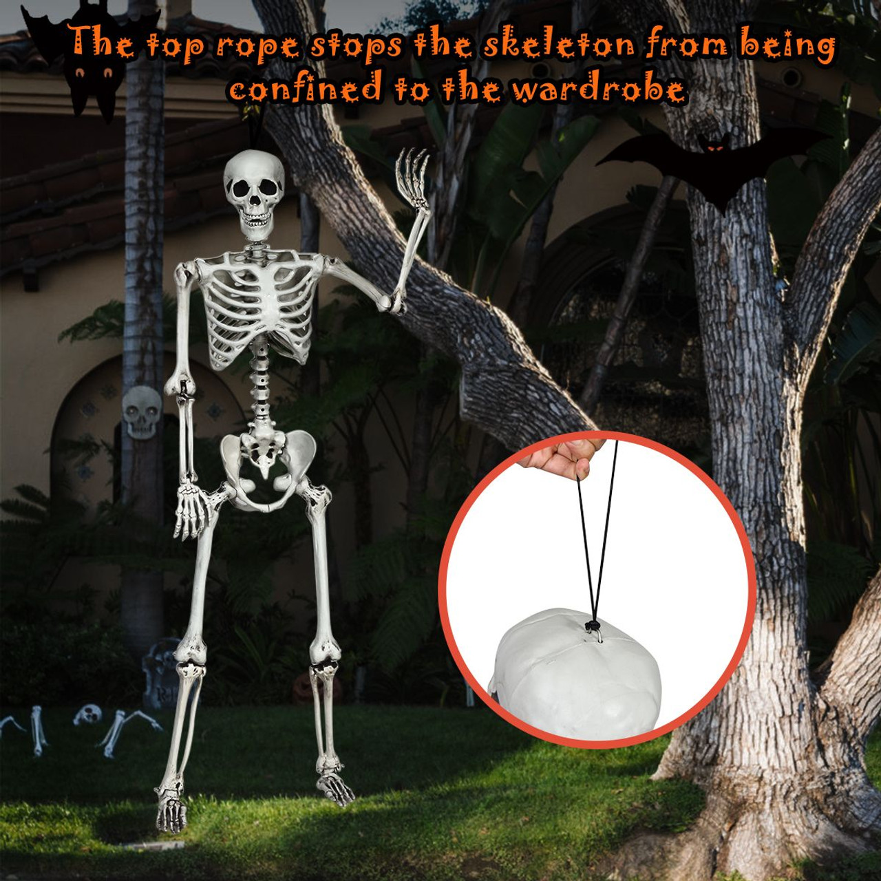 5.4 ft Posable Halloween Skeleton  product image