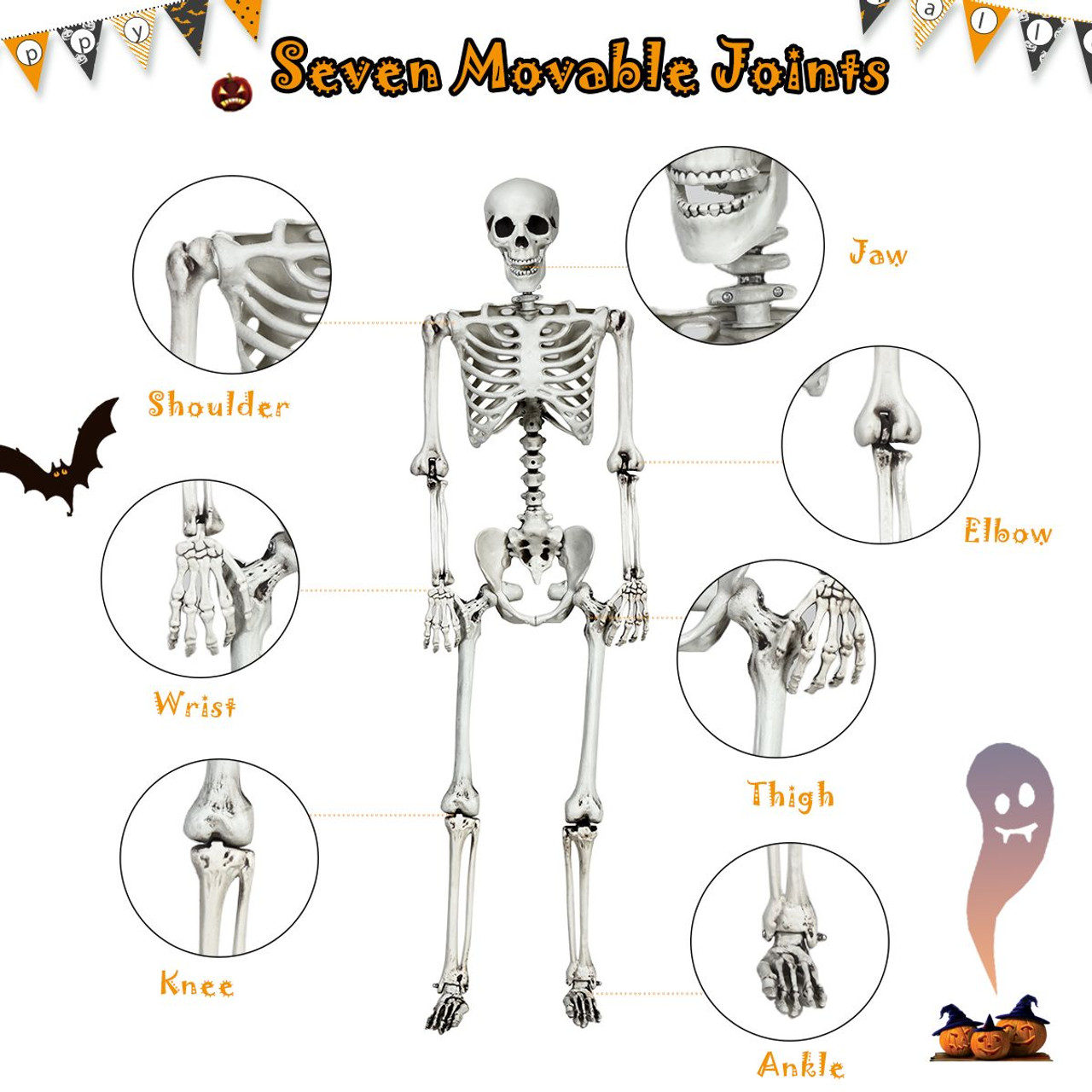 5.4 ft Posable Halloween Skeleton  product image