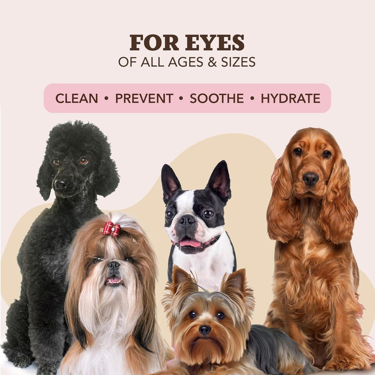 Essential Oil-Infused Dog Ear Wipes (50 Ct)  product image
