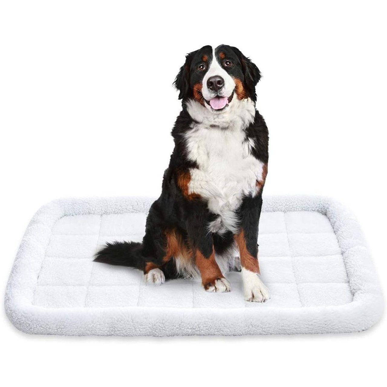 Washable Dog Bed with Supportive Foam product image