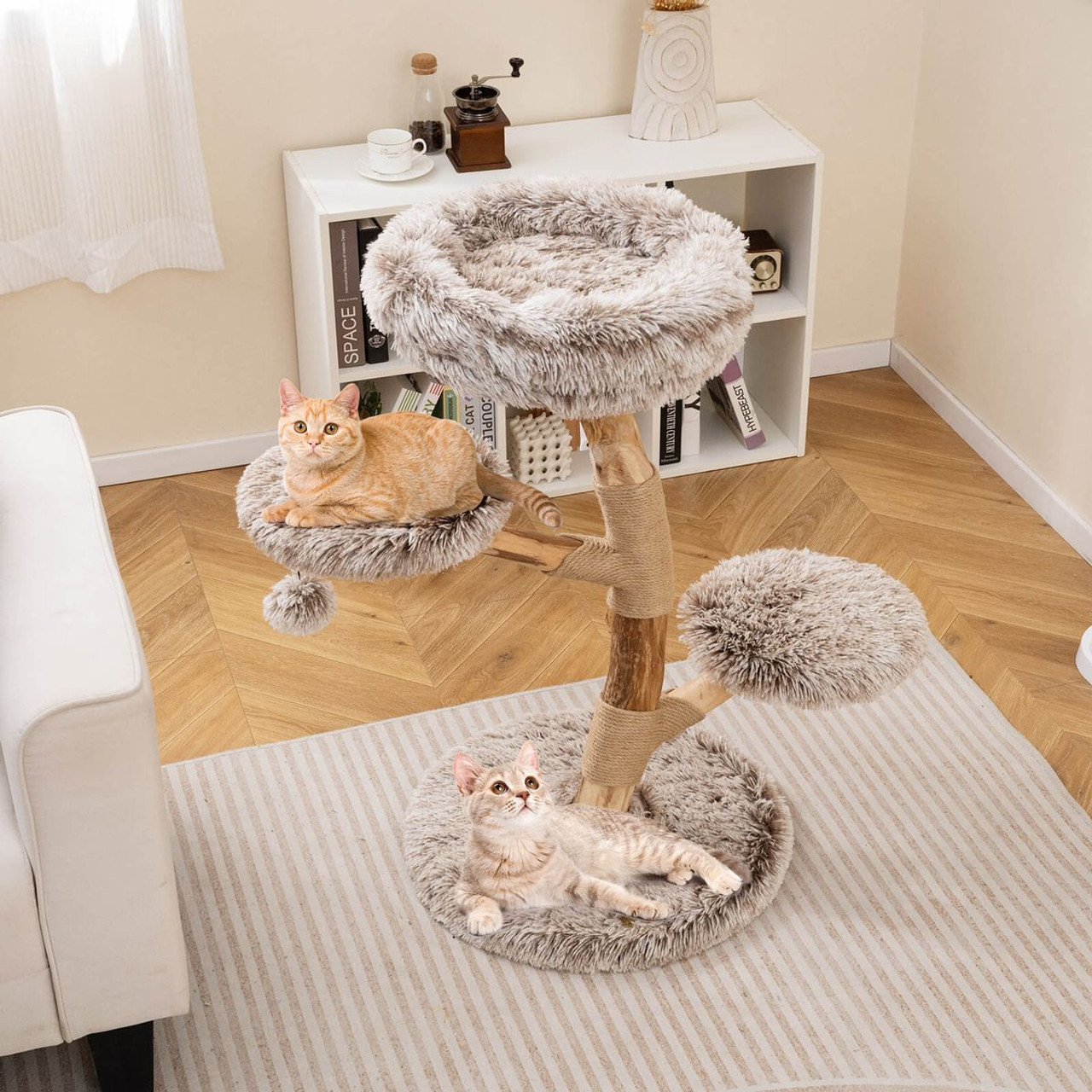 Modern Cat Tree with Pear Wood Trunks and Scratching Posts product image