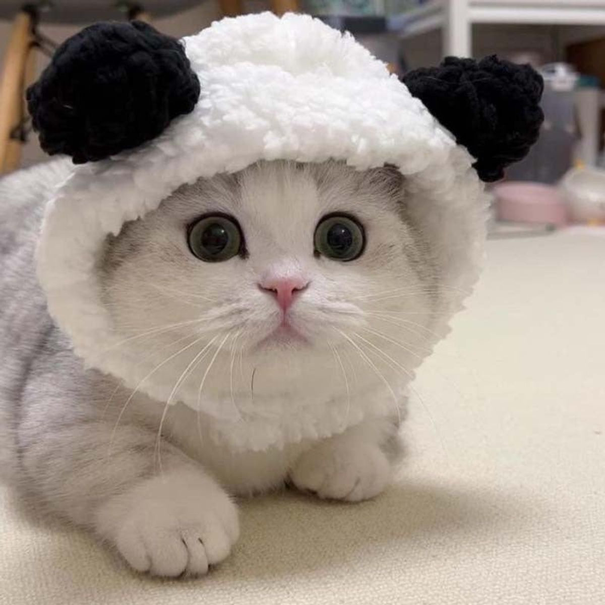 Cat Halloween Costume Hat  product image