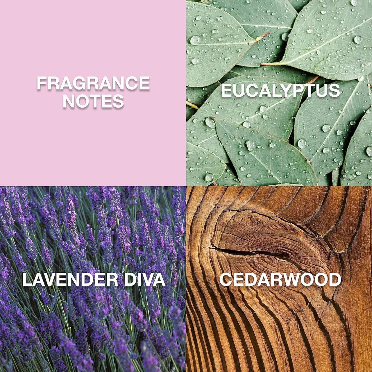 Lucky Brand Re/Lax Unisex Fine Fragrance Mist (2-Pack) product image Lucky Brand Re/Lax Unisex Fine Fragrance Mist (2-Pack) product image