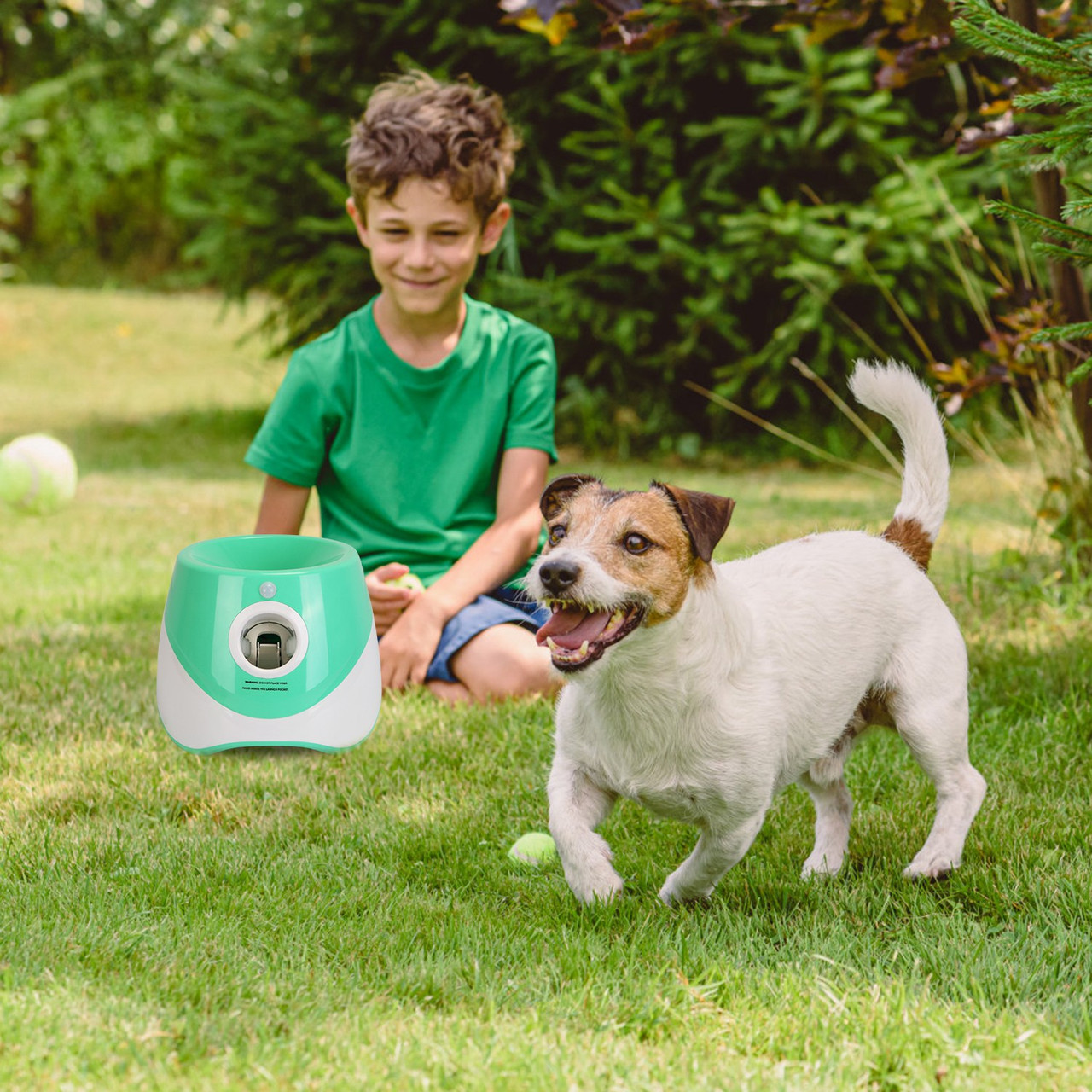 Automatic Dog Ball Launcher product image