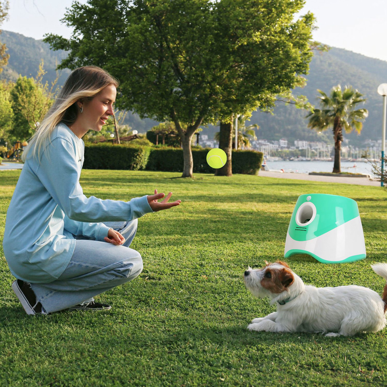 Automatic Dog Ball Launcher product image