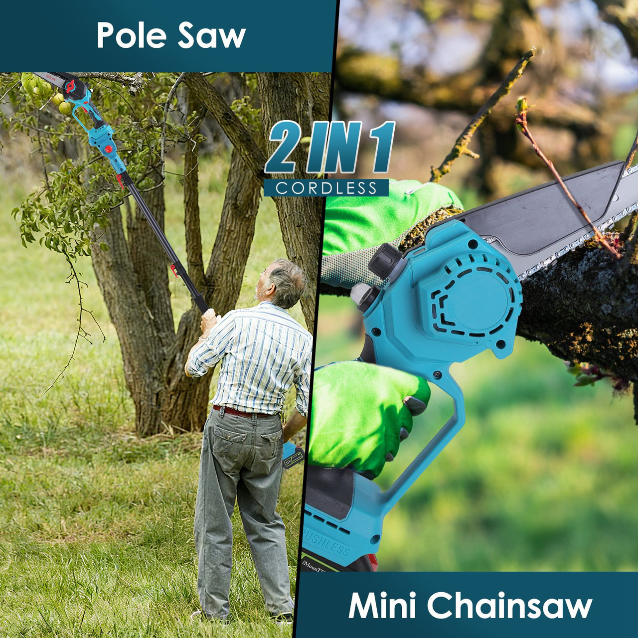 2-in-1 Pole Saw and Mini Chainsaw product image