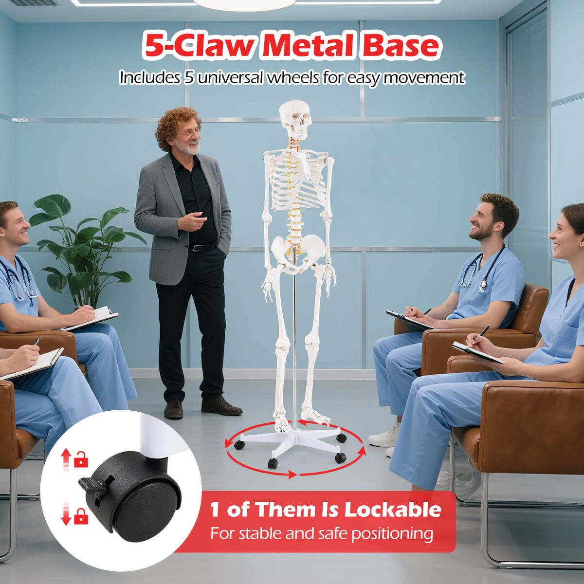 70.8" Life Size Human Skeleton Model  product image