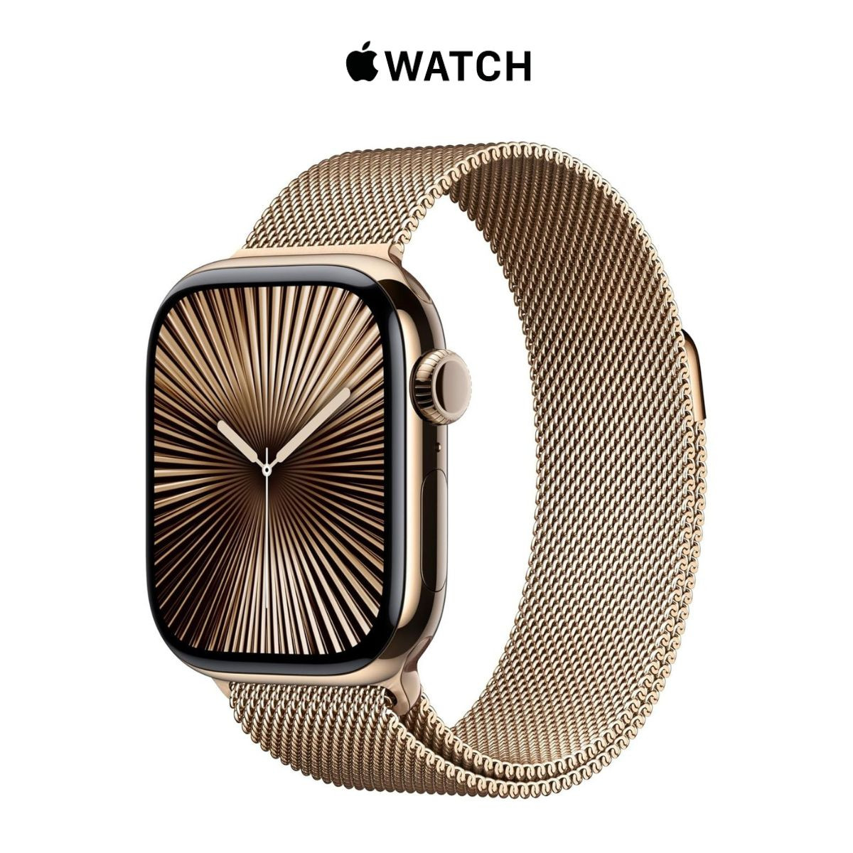 Apple Watch Series 10  (GPS+LTE - 46MM - 2024) product image