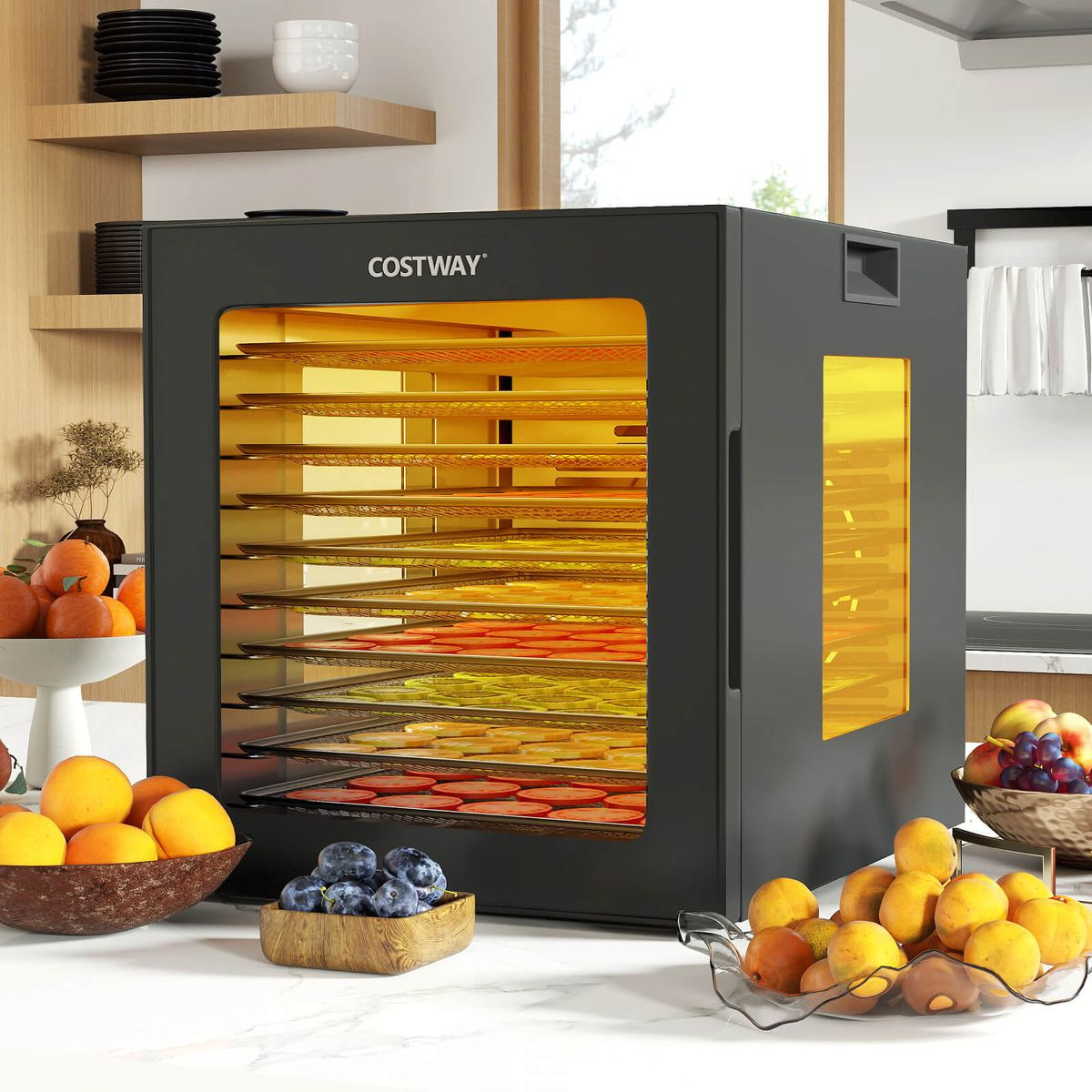 Stainless Steel Trays Dryer with 10 Presets and Built-In Thermostat product image