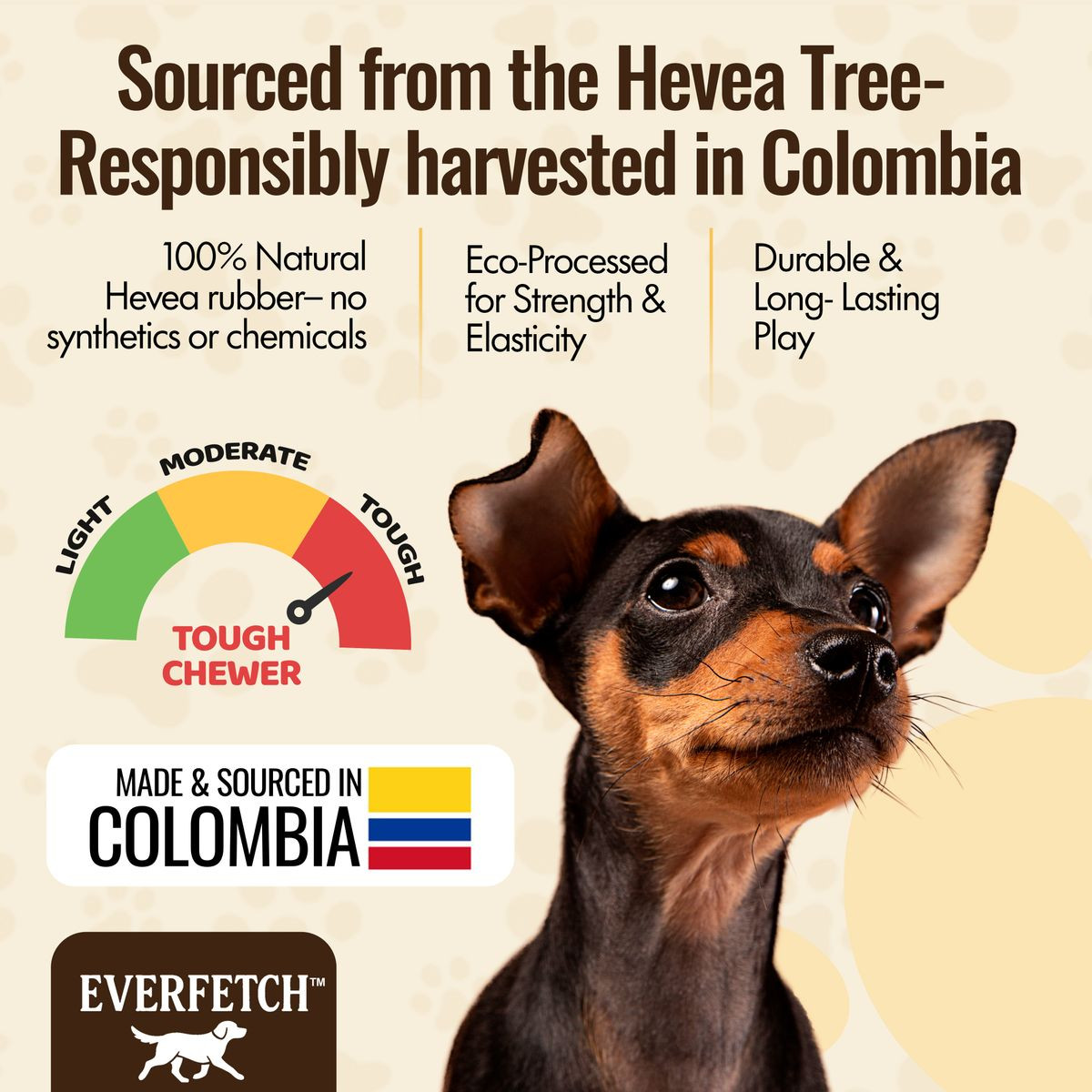 Everfetch Natural Rubber Scented Funky Dog Toys product image