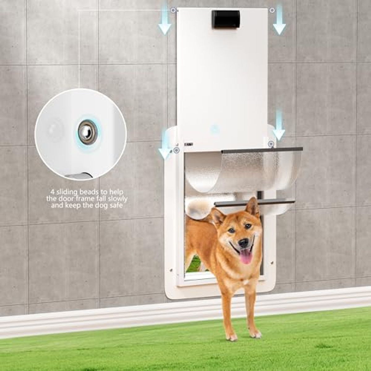 Autofeedog Double-Flap Pet Door Wall  product image