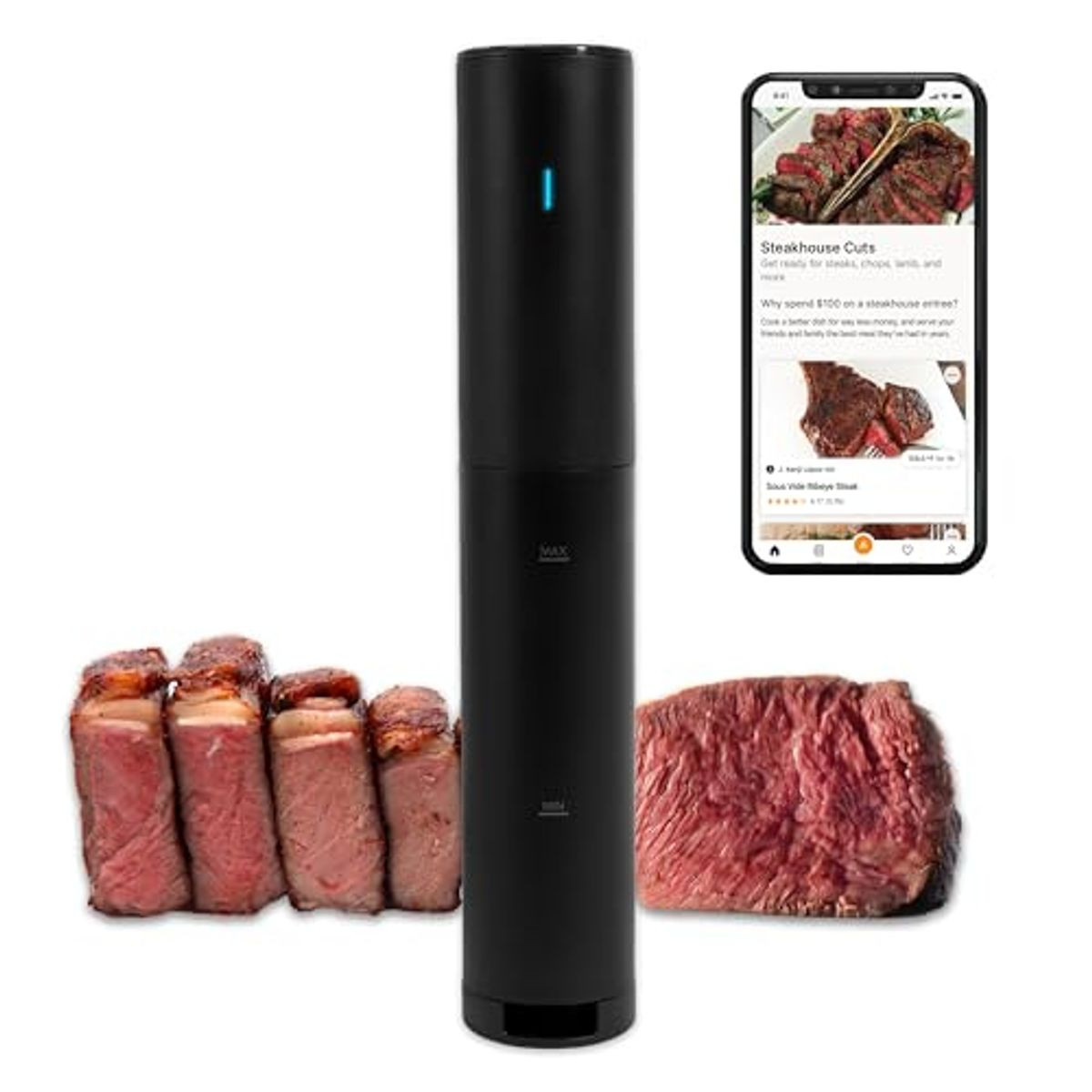 Anova Culinary Sous Vide Precision Cooker product image
