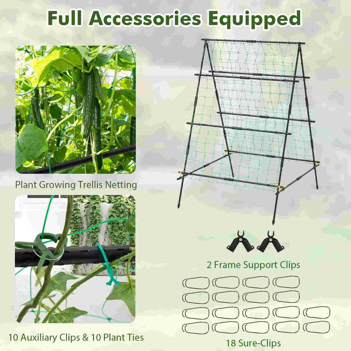 Cucumber Trellis  product image