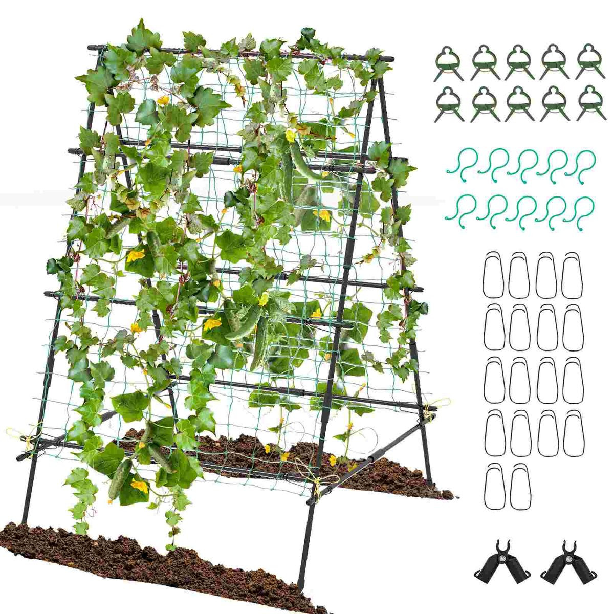 Cucumber Trellis  product image