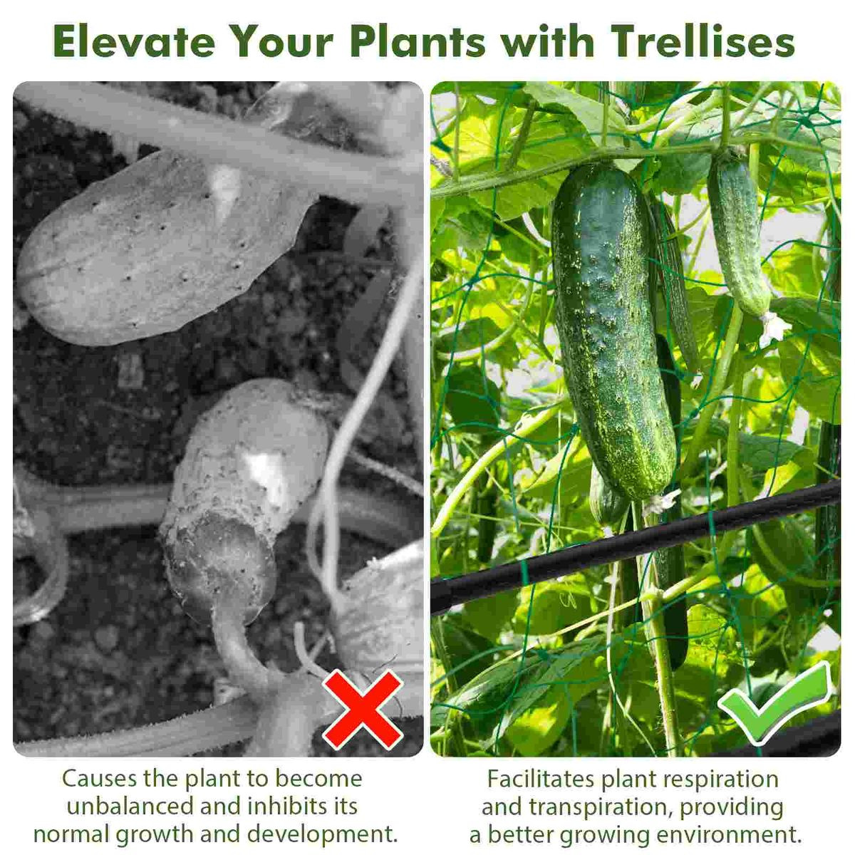 Cucumber Trellis with Stable Metal Construction product image