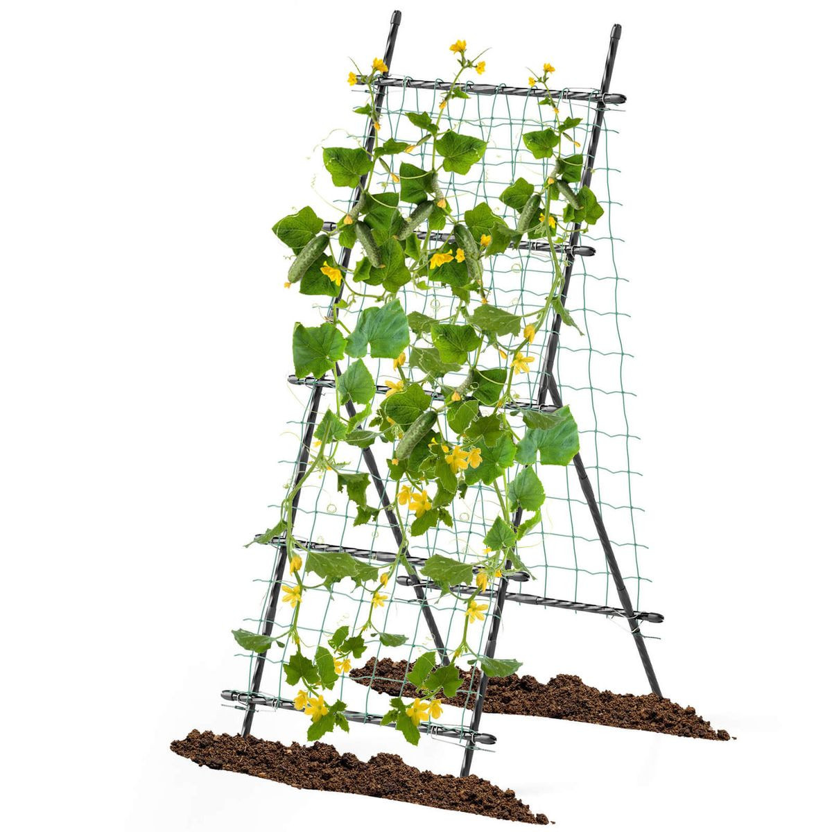 74" Garden Cucumber Trellis for Plant Climbing  product image