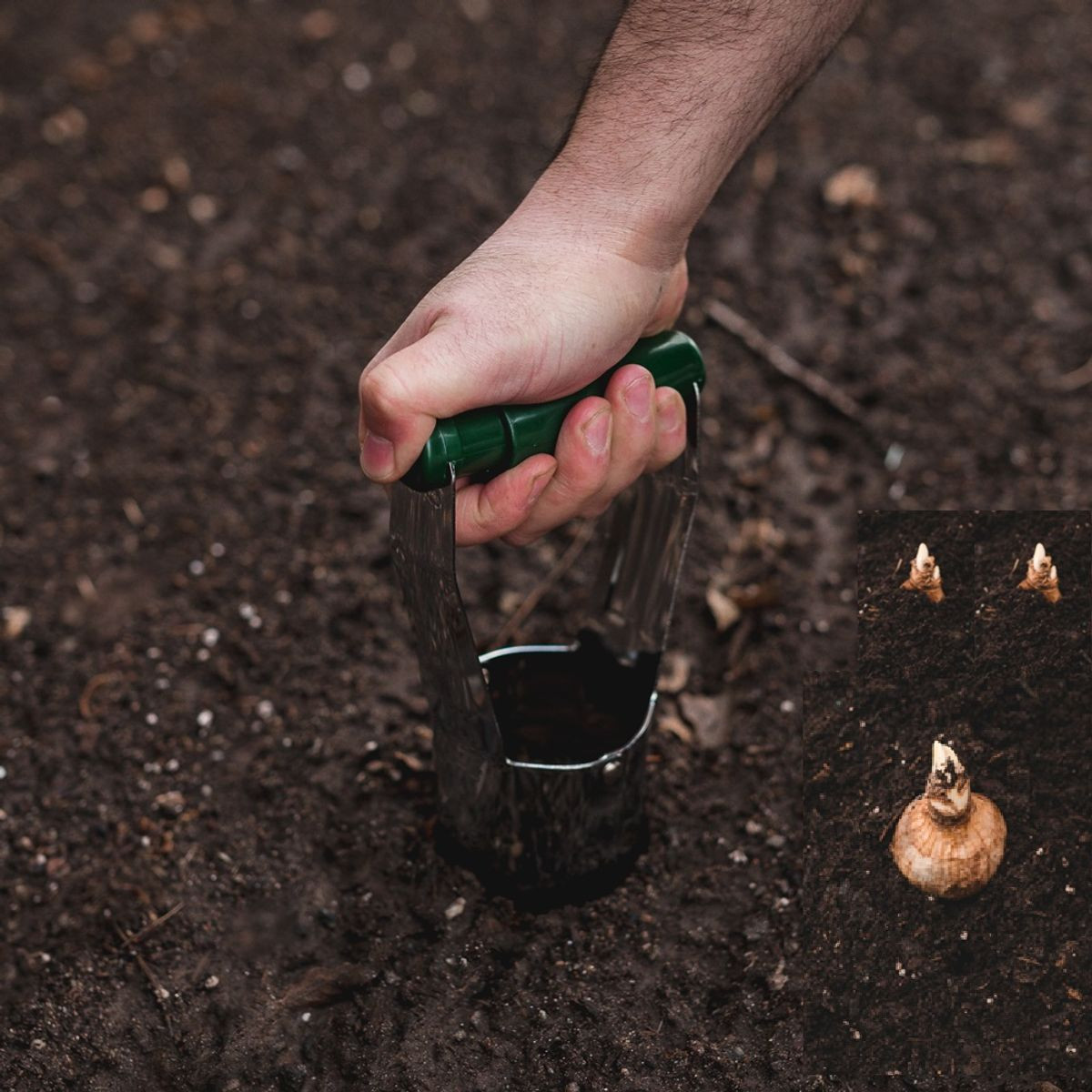 Bulb Buddy Spring-Loaded Flower Bulb product image