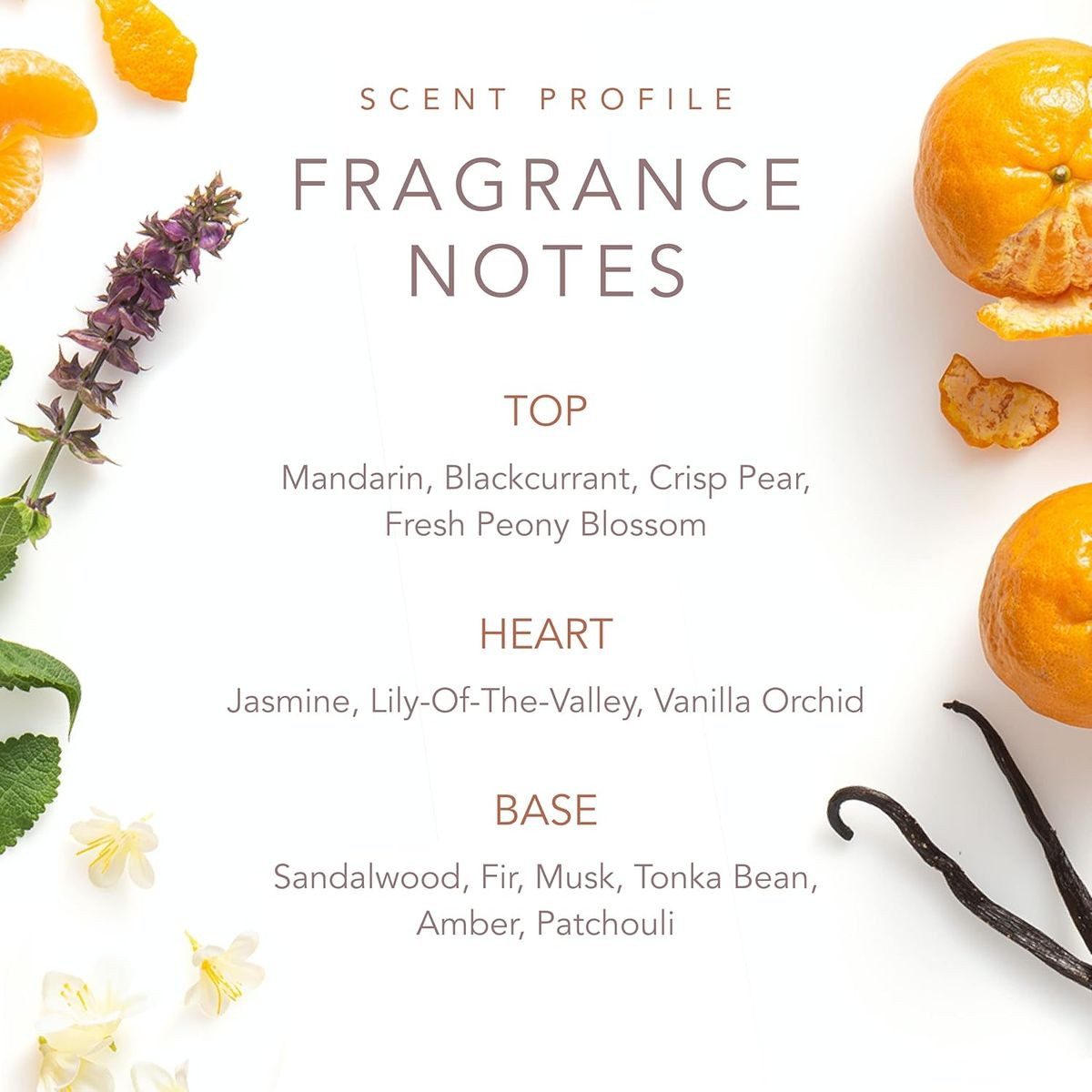 Dolly Parton Scent from Above Eau de Parfum Roller (2-Pack) product image