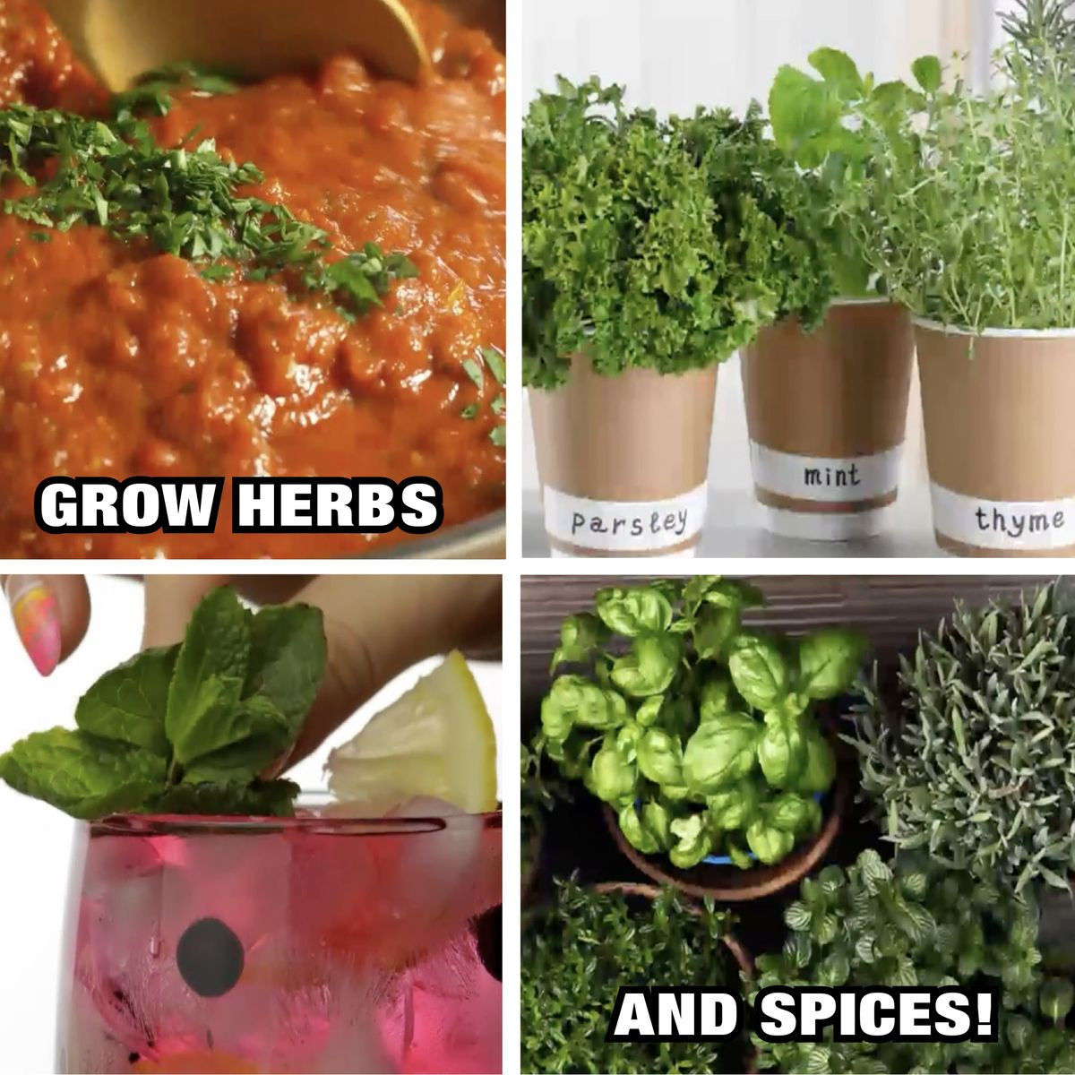 Bell+Howell Bionic Grow Light for Indoor Plants product image