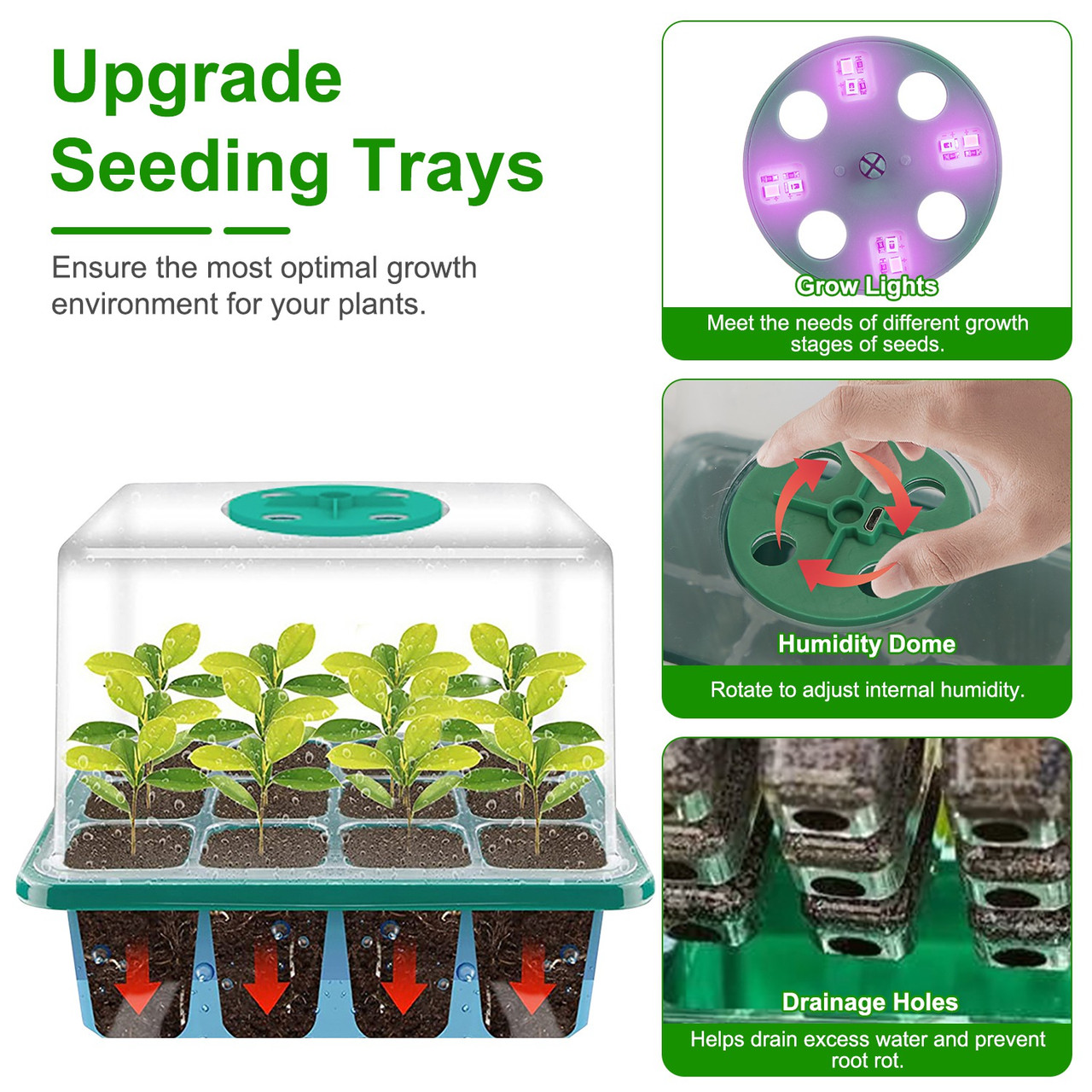 Seed Starter Tray with Grow Light (5-Pack) product image