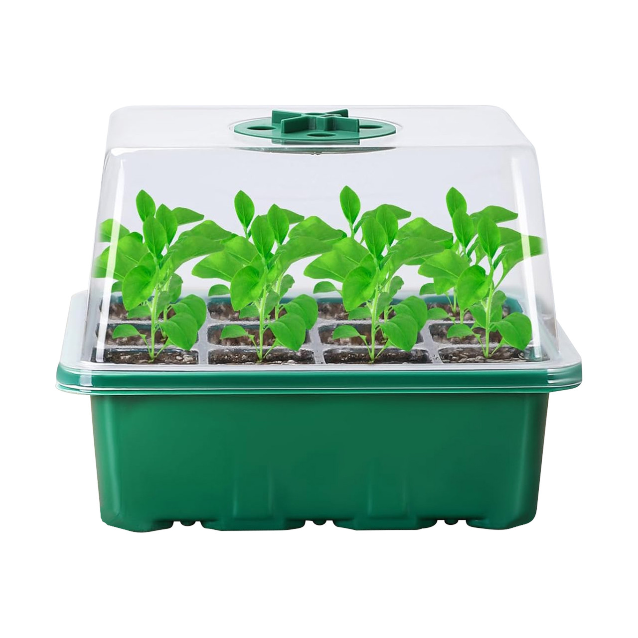 Seed Starter Tray with Grow Light (5-Pack) product image