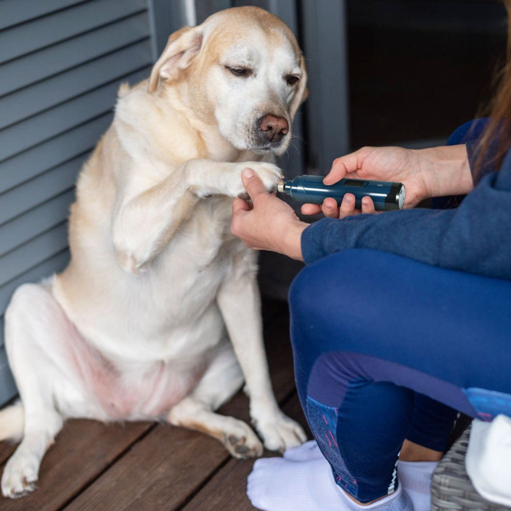USB Dog Nail Trimmer product image