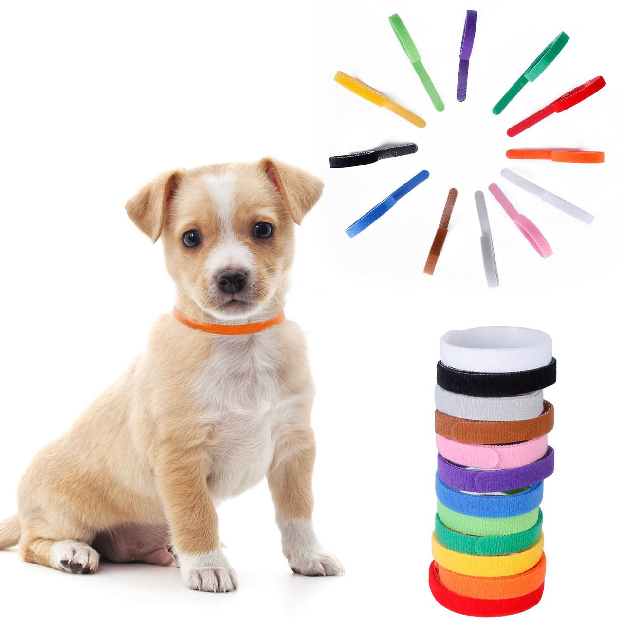Whelping Puppy ID Collars (12 Pieces) product image