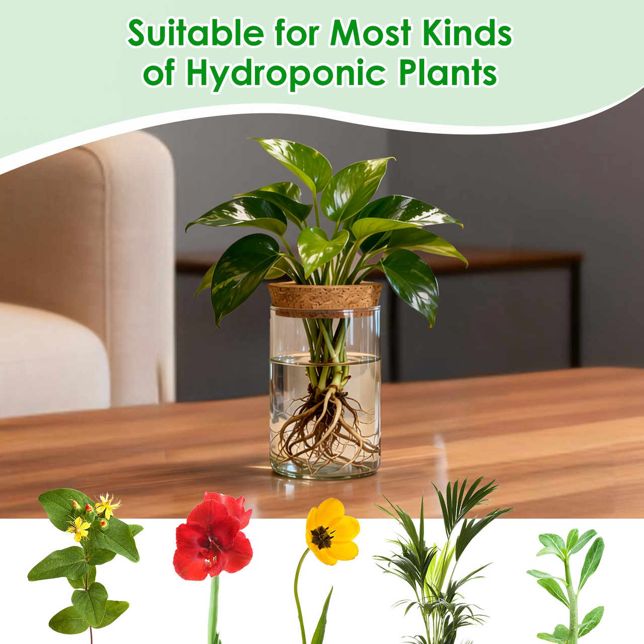 Hydroponic Glass Plant Propagation Station (4-Pack) product image