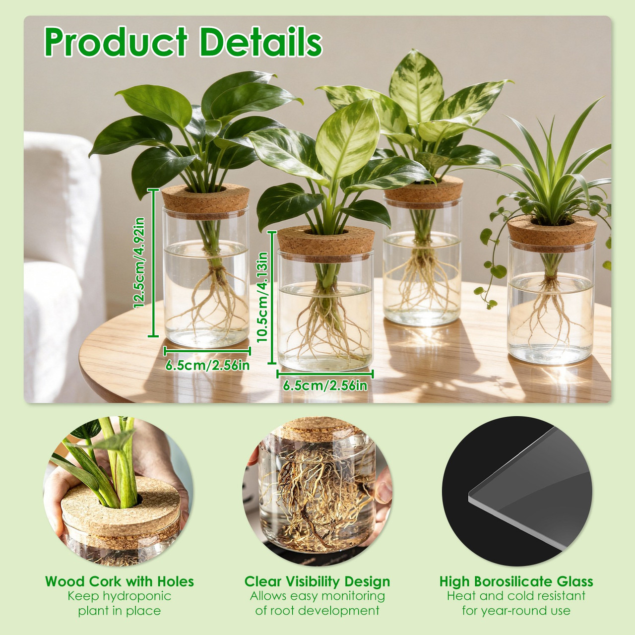 Hydroponic Glass Plant Propagation Station (4-Pack) product image