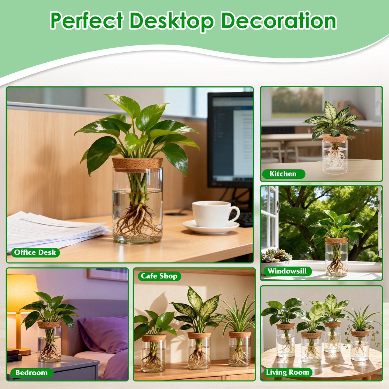 Hydroponic Glass Plant Propagation Station (4-Pack) product image