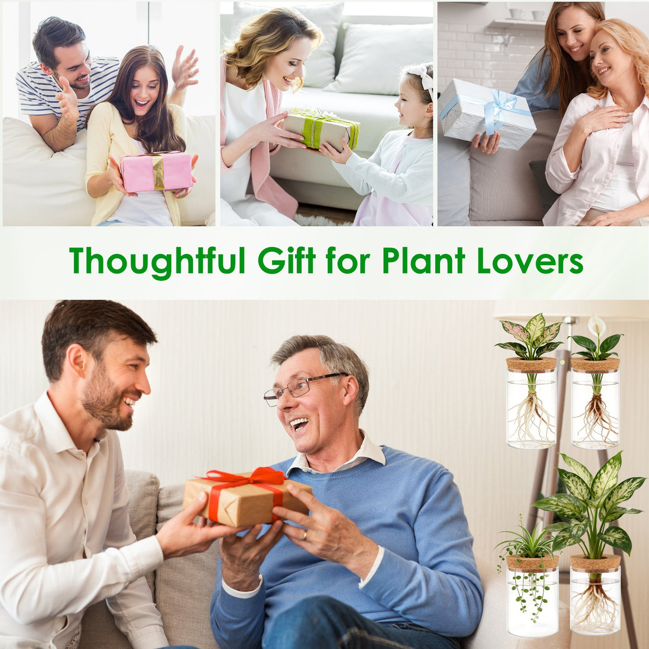 Hydroponic Glass Plant Propagation Station (4-Pack) product image